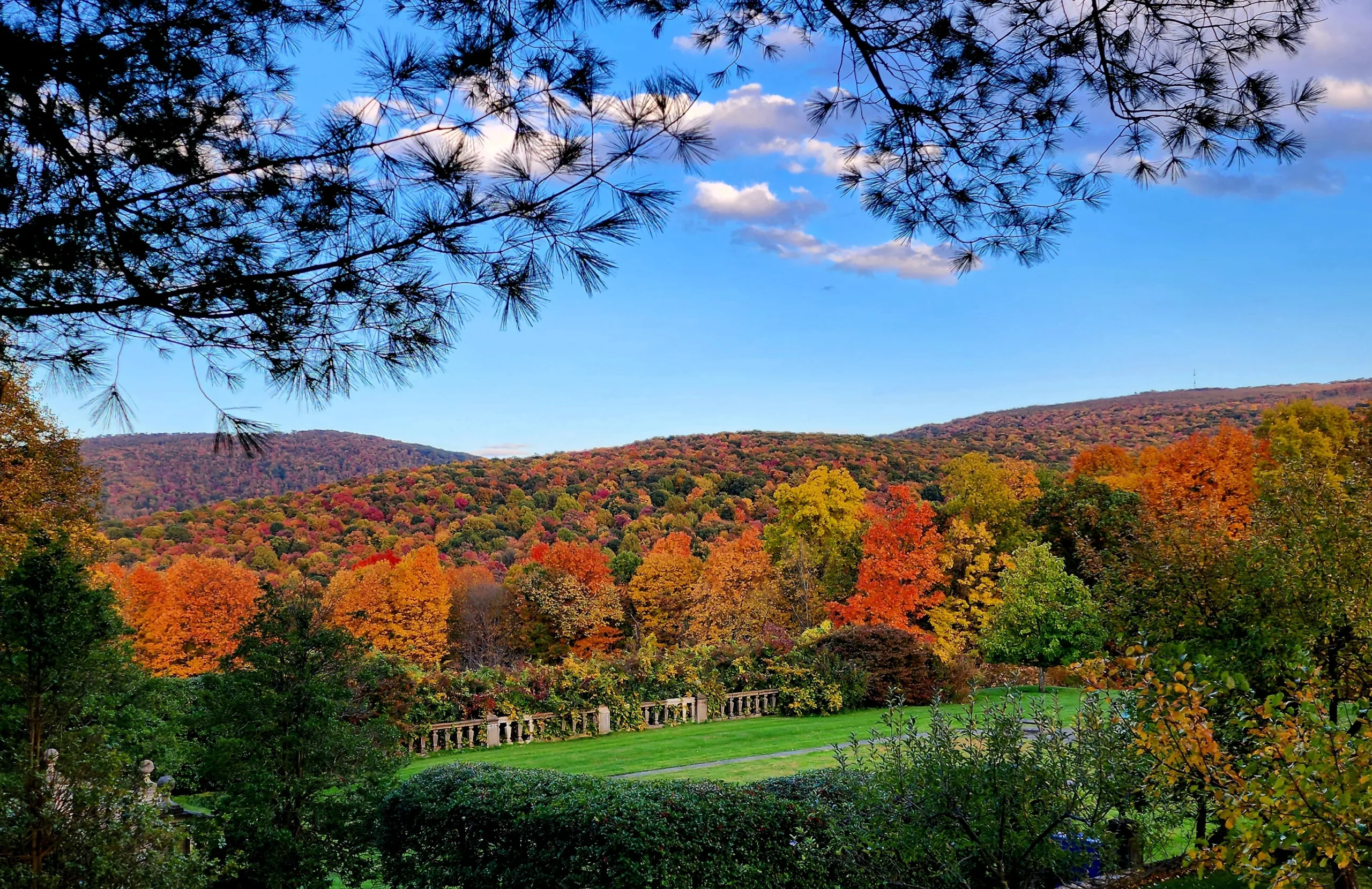 Understanding Ecoregions and Their Significance in Pennsylvania